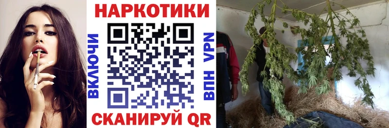 Купить закладку Новошахтинск ГАШ  АМФ  Меф мяу мяу  Марихуана  COCAIN  A PVP 