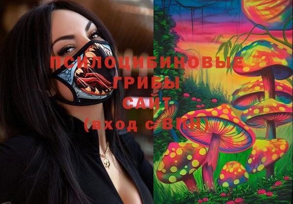 ГАЛЛЮЦИНОГЕННЫЕ ГРИБЫ Алексеевка
