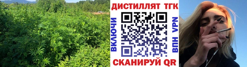 ТГК вейп с тгк Новошахтинск