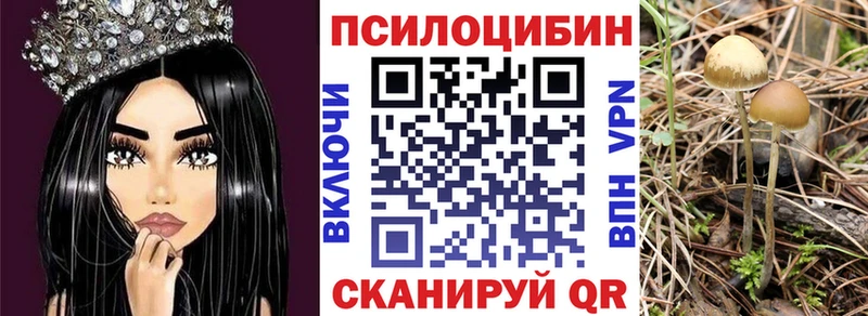 Галлюциногенные грибы Psilocybe  цена наркотик  Новошахтинск 