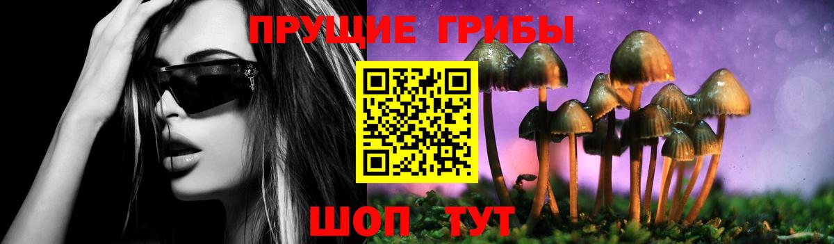 Галлюциногенные грибы GOLDEN TEACHER  Вход с VPN  Новошахтинск  продажа наркотиков  Галлюциногенные грибы прущие грибы 
